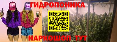 spice Чапаевск