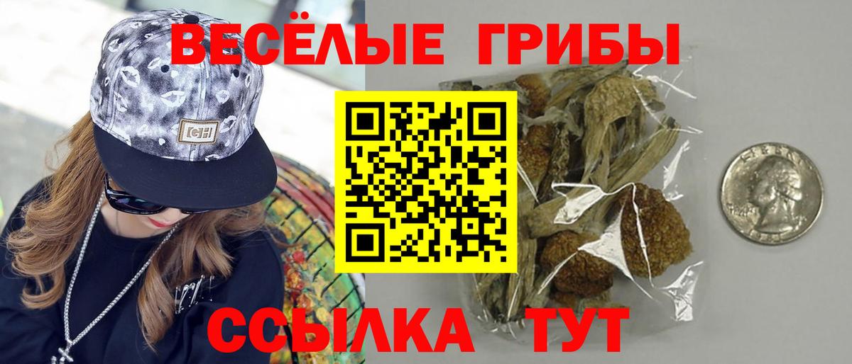 Псилоцибиновые грибы Psilocybe  Галлюциногенные грибы прущие грибы  Вход с VPN  Мелеуз 