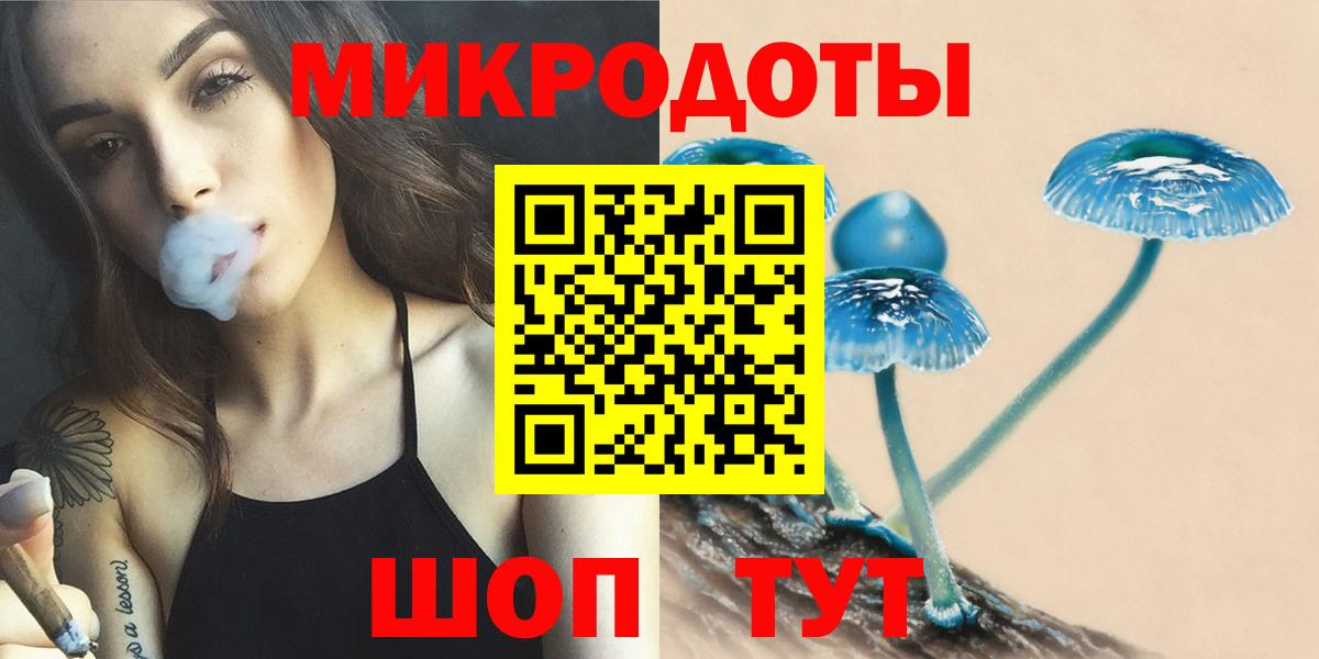 Галлюциногенные грибы Psilocybe Мелеуз